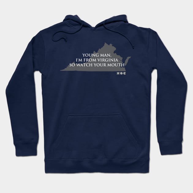 Hamilton VA Hoodie by The Nerds of Color